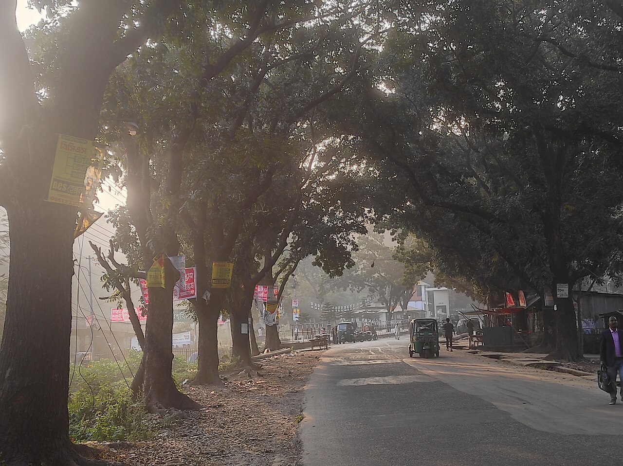 Chittagong University Museum, Bangladesh — ASEMUS member museum